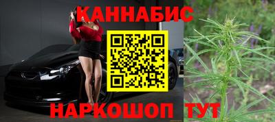mdpv Краснознаменск