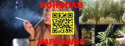 mdpv Краснознаменск