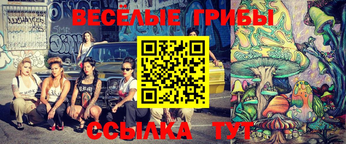 Галлюциногенные грибы Magic Shrooms Ишимбай