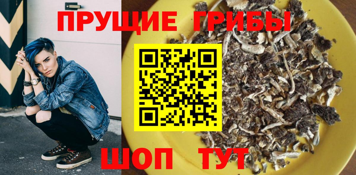 Ишимбай  Галлюциногенные грибы Psilocybe  Псилоцибиновые грибы GOLDEN TEACHER  Вход с VPN 